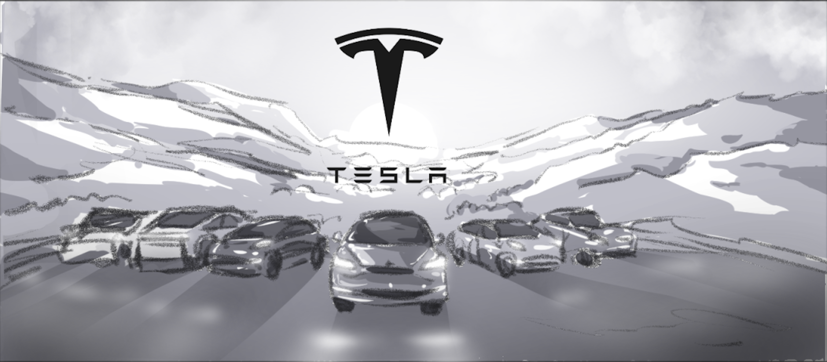 Walking with Giants — Tesla Fleet